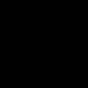 Meet your Posher, Donnisha